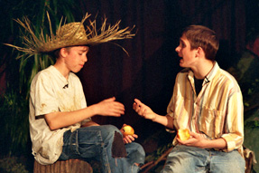 Tom Sawyers Abenteuer