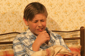 Die Brüder Löwenherz