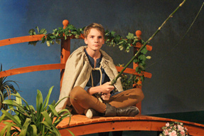 Die Brüder Löwenherz